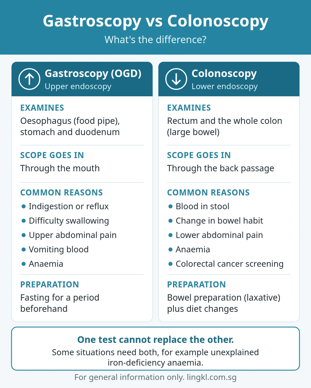 Gastroscopy vs colonoscopy infographic comparing the two tests side by side: a gastroscopy (OGD) examines the oesophagus, stomach and duodenum through the mouth, for reasons such as indigestion, reflux, difficulty swallowing, upper abdominal pain, vomiting blood or anaemia, and needs fasting beforehand; a colonoscopy examines the rectum and whole colon through the back passage, for reasons such as blood in stool, change in bowel habit, lower abdominal pain, anaemia or colorectal cancer screening, and needs bowel preparation. One test cannot replace the other.